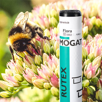 RUTEX Flora mit Sedum und Beine als Hintergrund